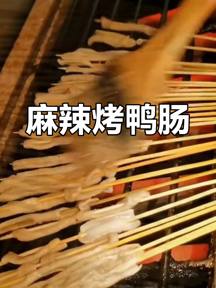 麻辣烤鸭肠,烧烤新风味