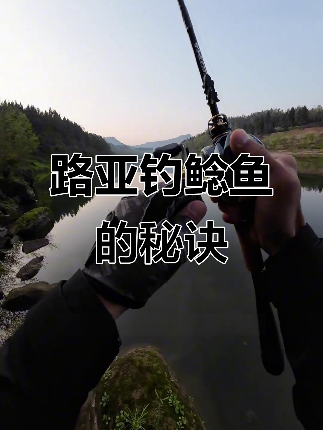 夜晚钓鲶鱼技巧大揭秘,如何选择最佳标点与假饵
