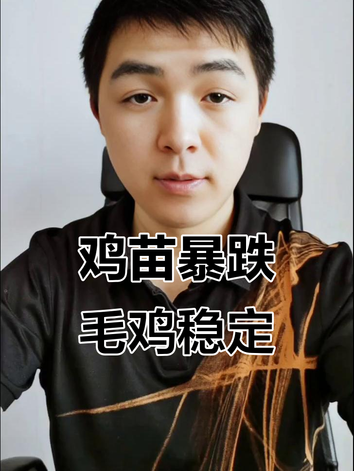 六月鸡苗崩盘,市场价格波动分析