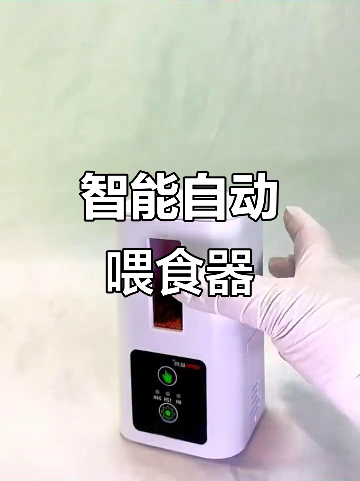 自动喂食器让鱼缸管理更轻松,锦鲤金鱼乌龟都能享用