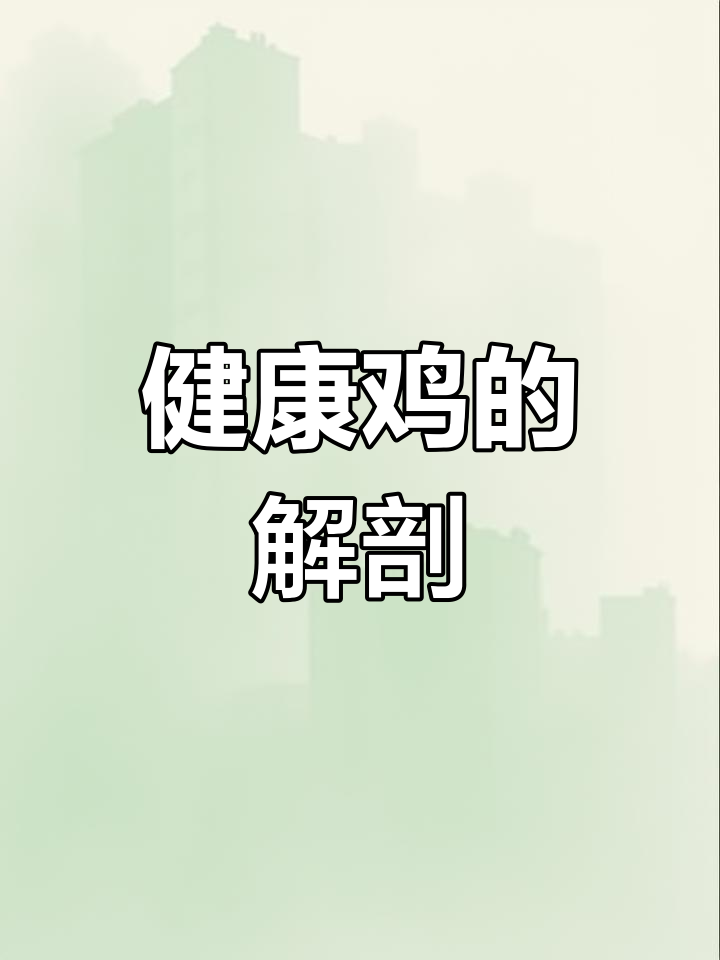 鸡解剖与气囊结构解析