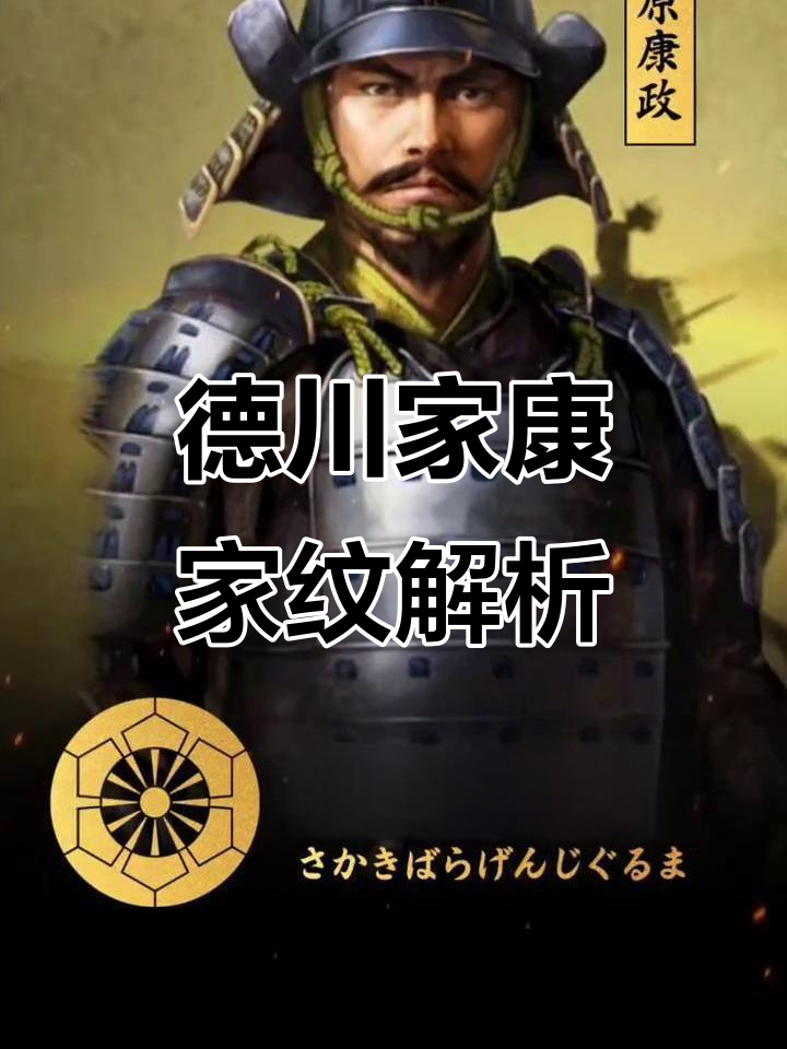 战国大名德川家康与四天王的家纹揭秘