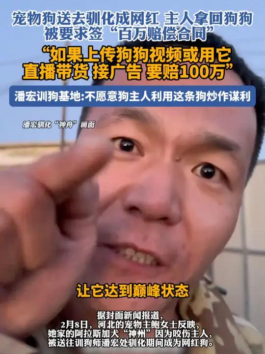 训狗人潘宏再陷风波:主人想拿回网红狗,被要求签“百万赔偿合同”