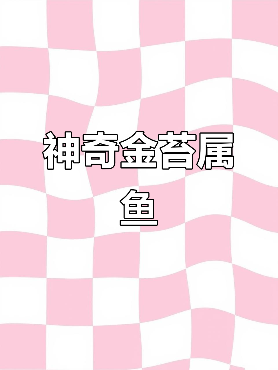 金苔鼠鱼:吃藻清缸,比锦鲤还美