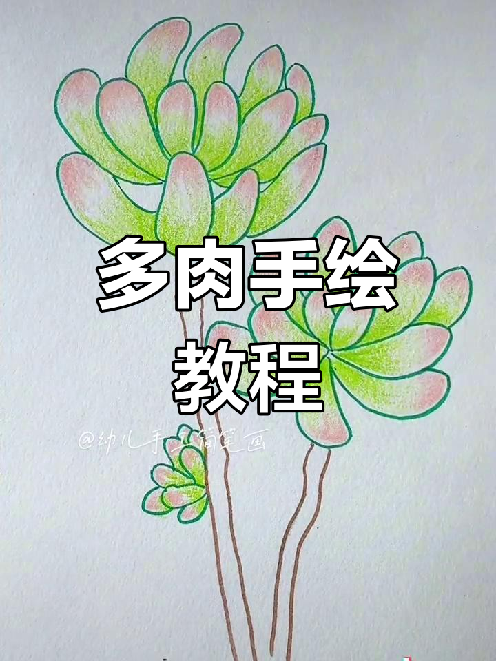 轻松画出可爱多肉植物,步骤简单有趣