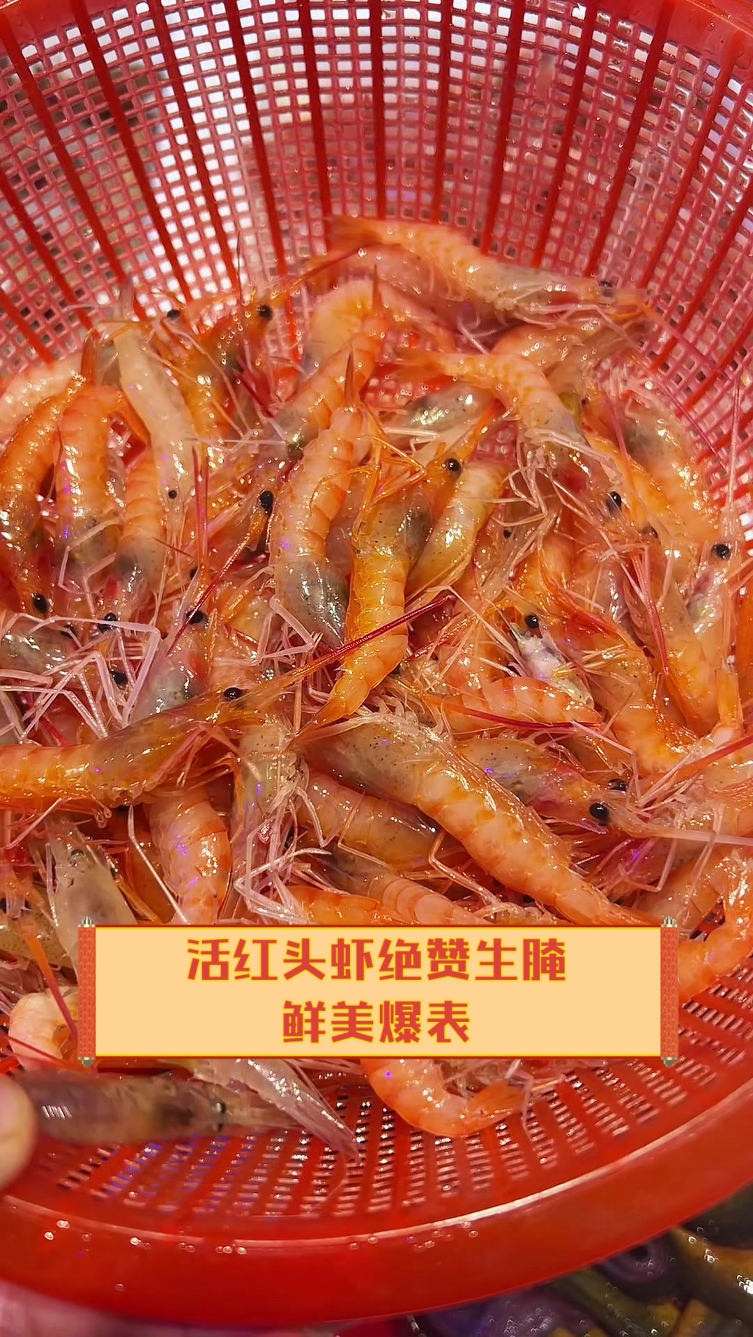 活红头虾绝赞生腌,鲜美爆表