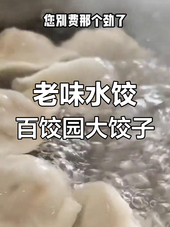 天津老味道,百饺园大饺子,馅料丰富超满足!