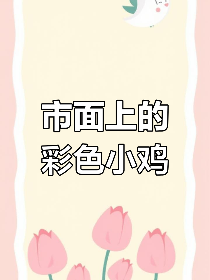 染色小鸡的来源与养殖难度揭秘