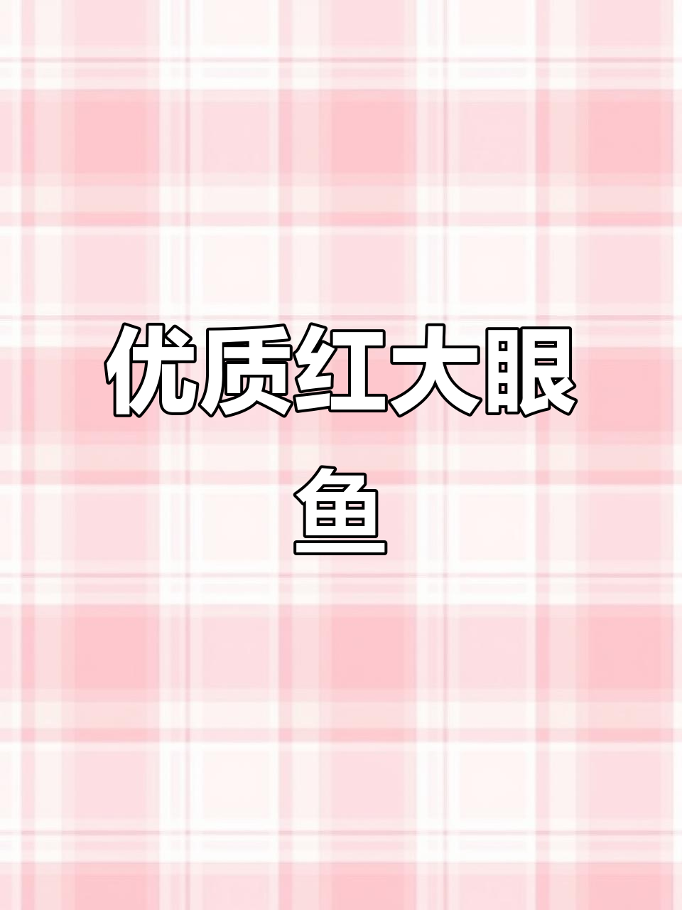 红大眼鱼新鲜到货,蒜瓣肉鲜香十足