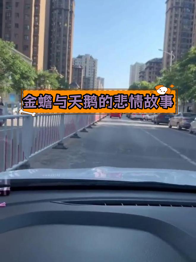 蛤蟆为救天鹅,甘愿舍弃一切