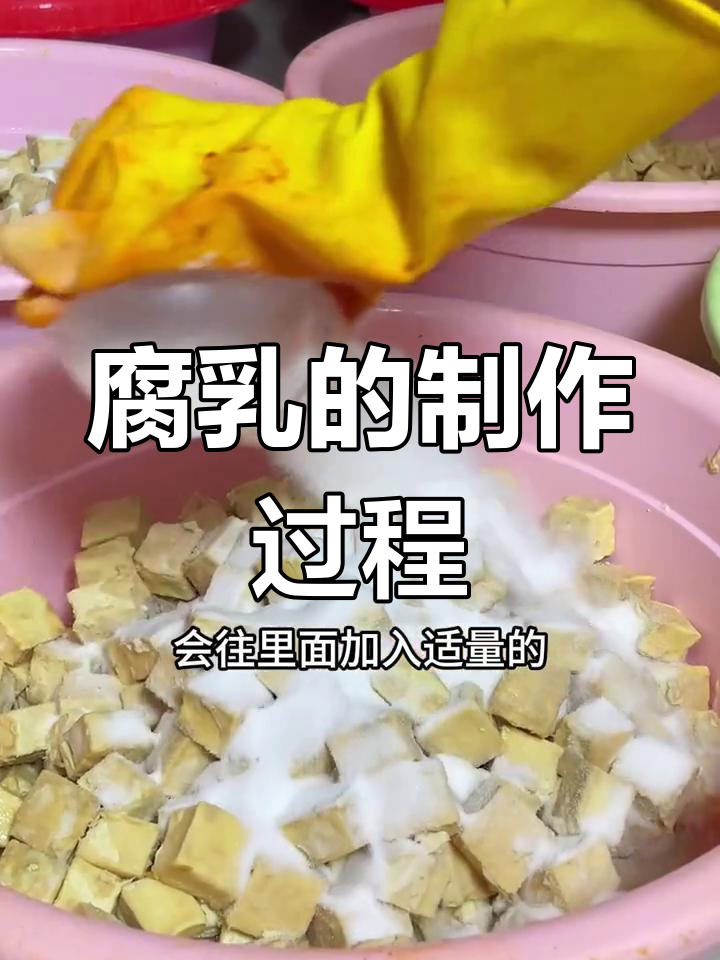 豆腐乳制作揭秘:毛霉菌发酵让干饭更香
