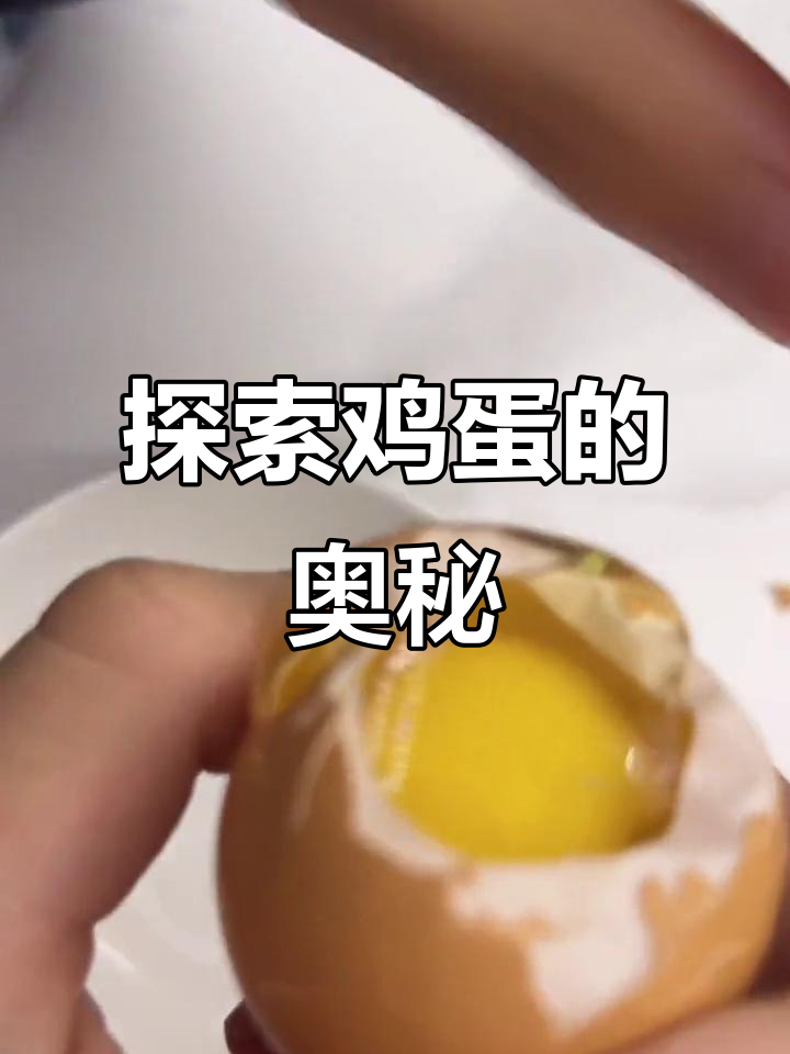 揭秘鸡蛋内部结构，带你了解卵黄与基带