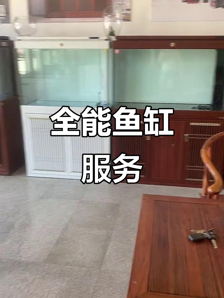 森森鱼缸提供全方位服务,观赏鱼及设备一应俱全