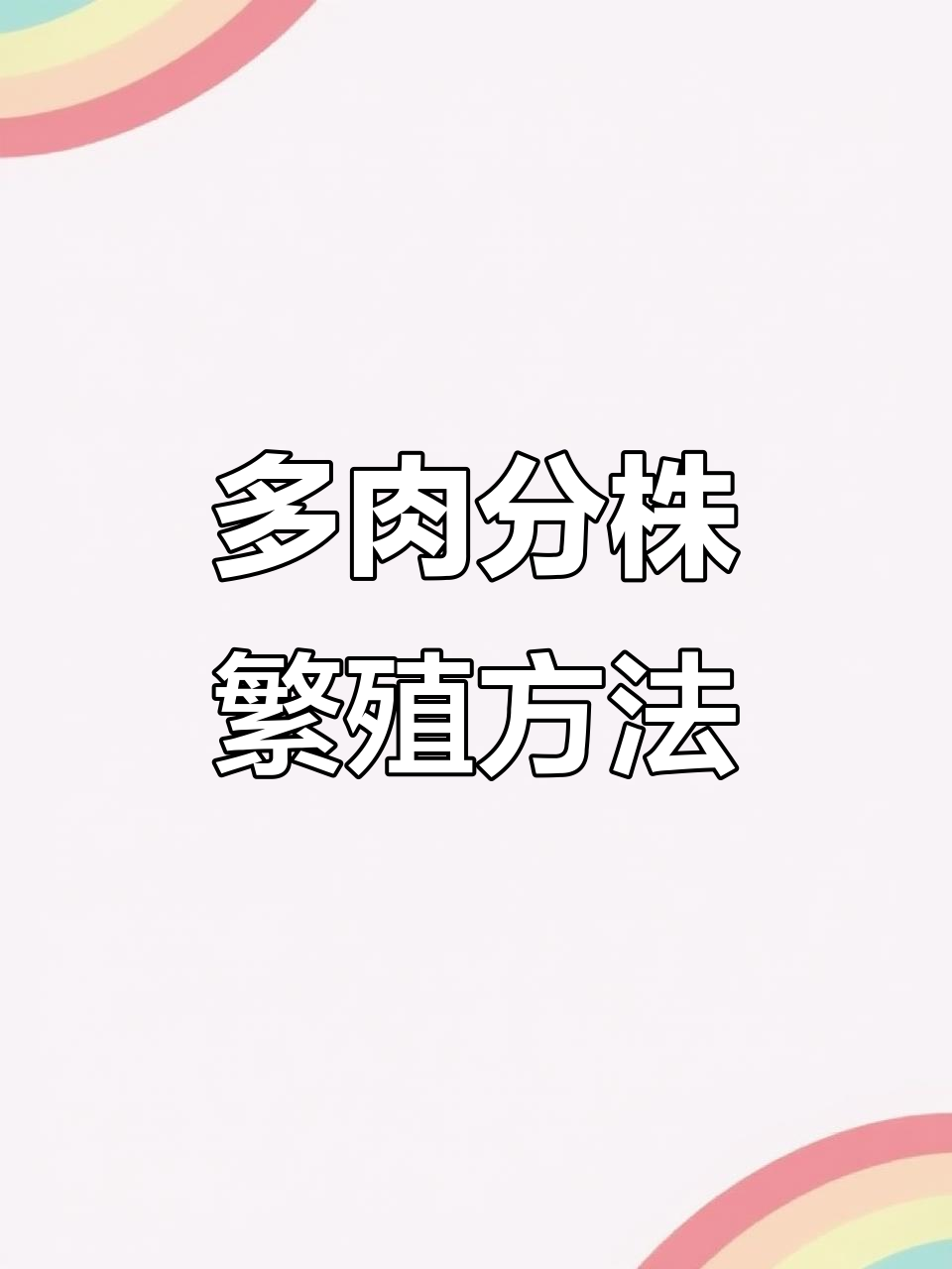 番杏科多肉植物分株技巧,快速繁殖秘诀大公开