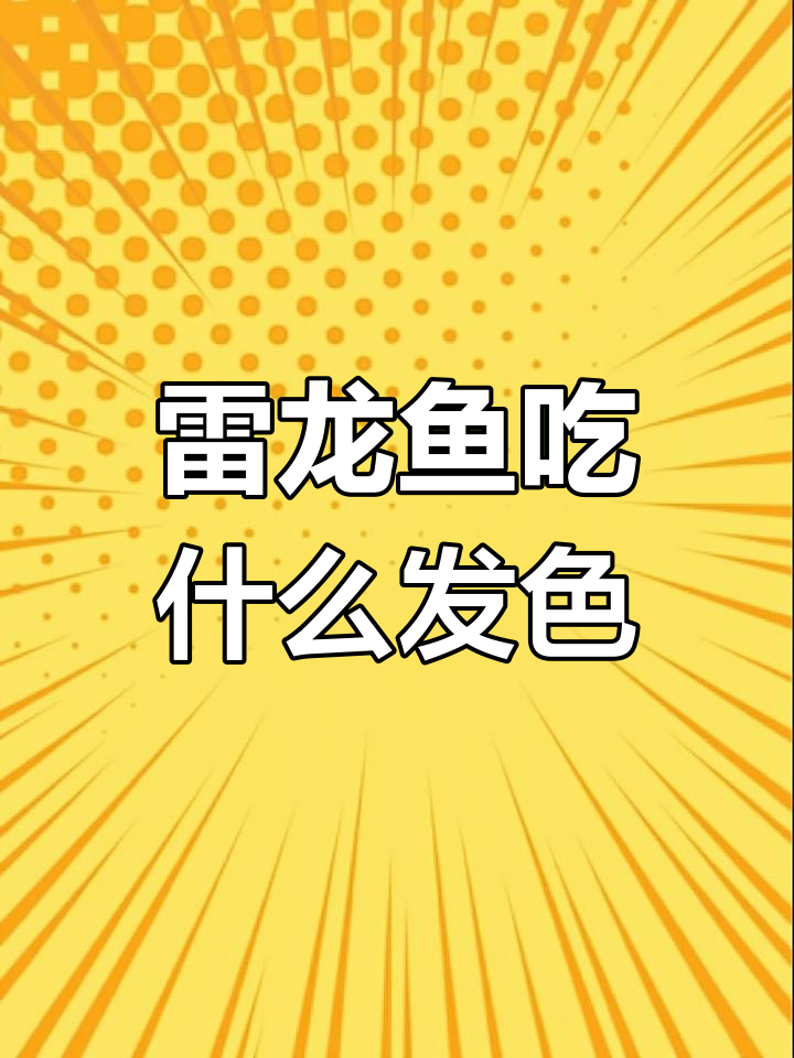 雷龙专用饲料推荐,速倍妥口碑好