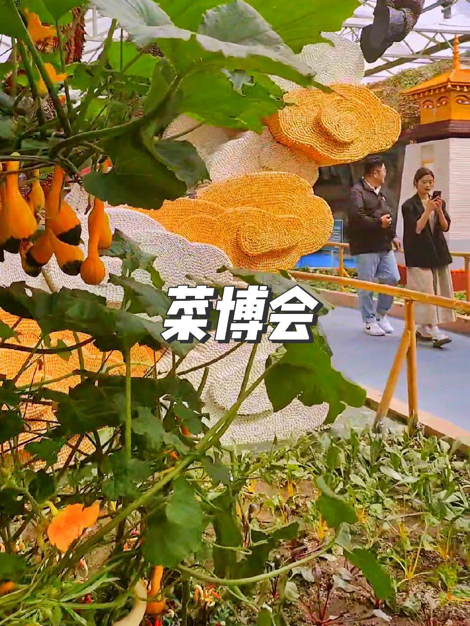 这里是宇宙寿光,4月20号,菜博会震撼来袭,是该带着亲人孩子来见见世面了。寿光菜博会 宇宙