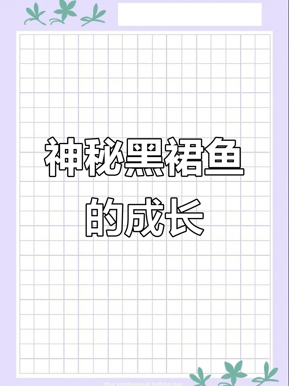 黑裙鱼:从活泼到温柔,水族箱中的黑色奇迹