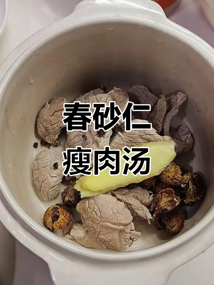 胃寒胀气?快来试试春砂仁瘦肉汤,暖胃又好喝