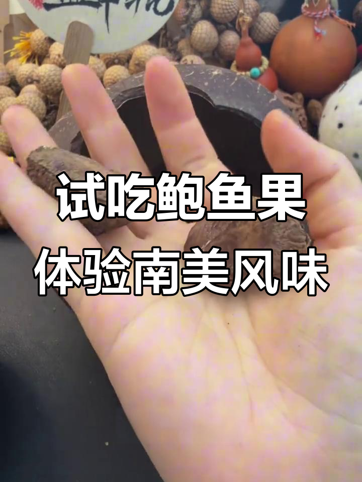 鲍鱼果与巴西坚果的奇妙之旅:口感、纹理全解析