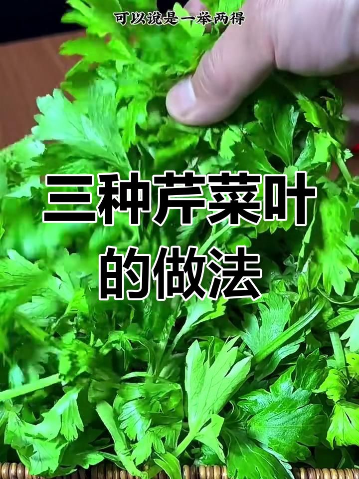 芹菜叶变美食,三种做法教你营养不浪费