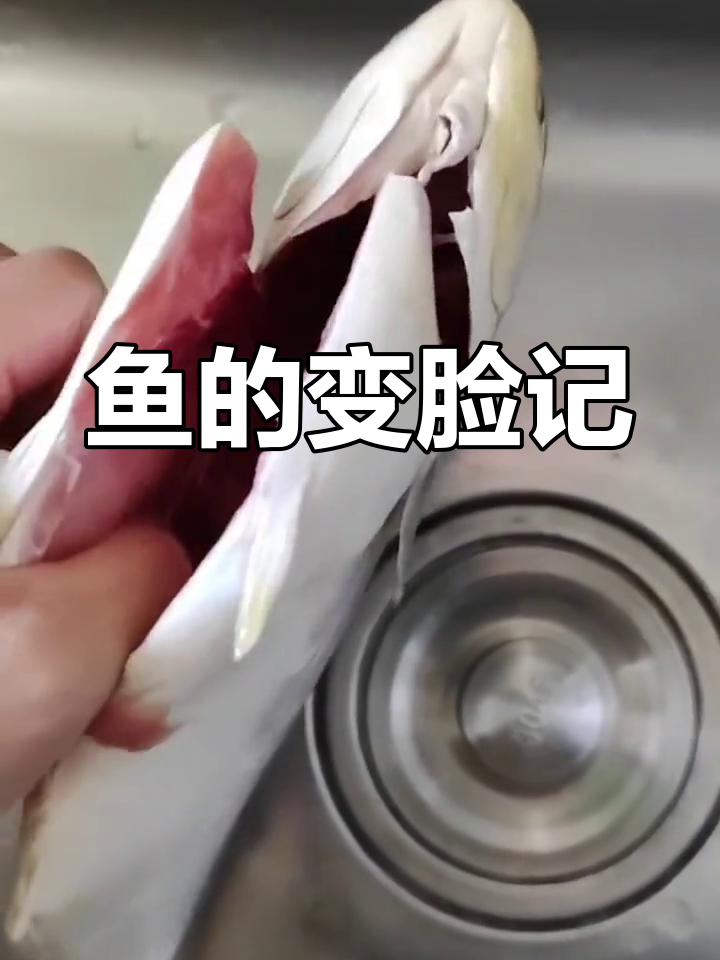 早晨买鱼,挑了条亮眼的,回家发现完全不是同一回事!