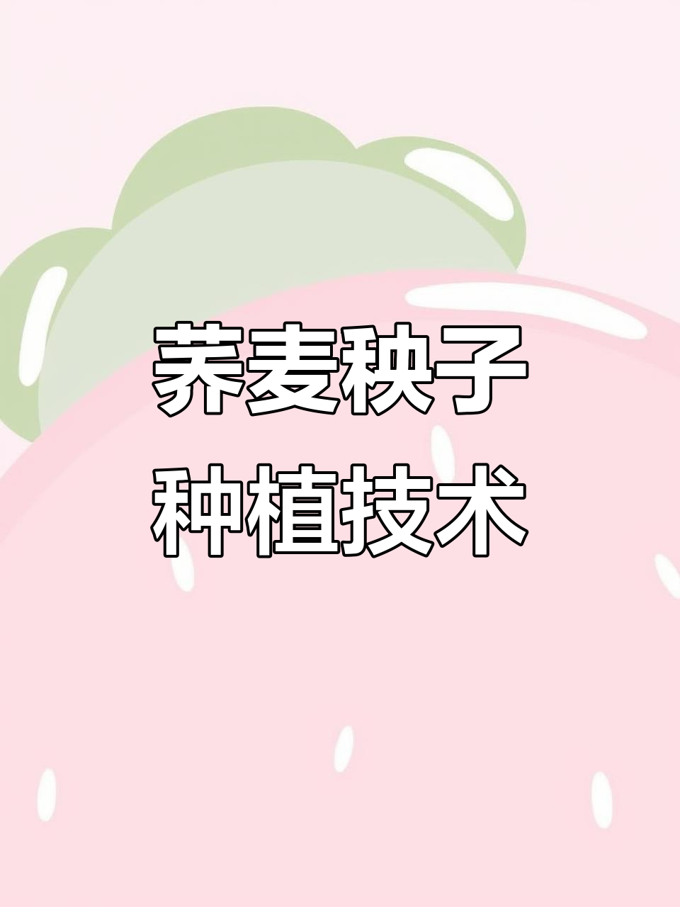 荞麦秧子种植全攻略：从催芽到收获技巧