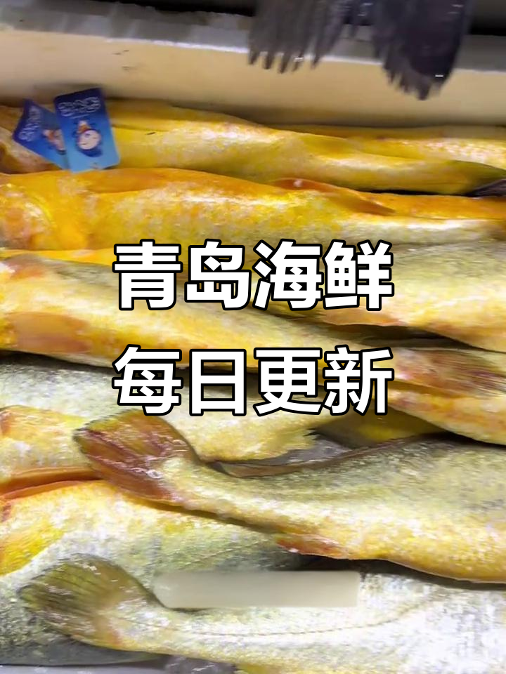 10月青岛海鲜价格大揭秘,野生黄菇鱼等超值推荐