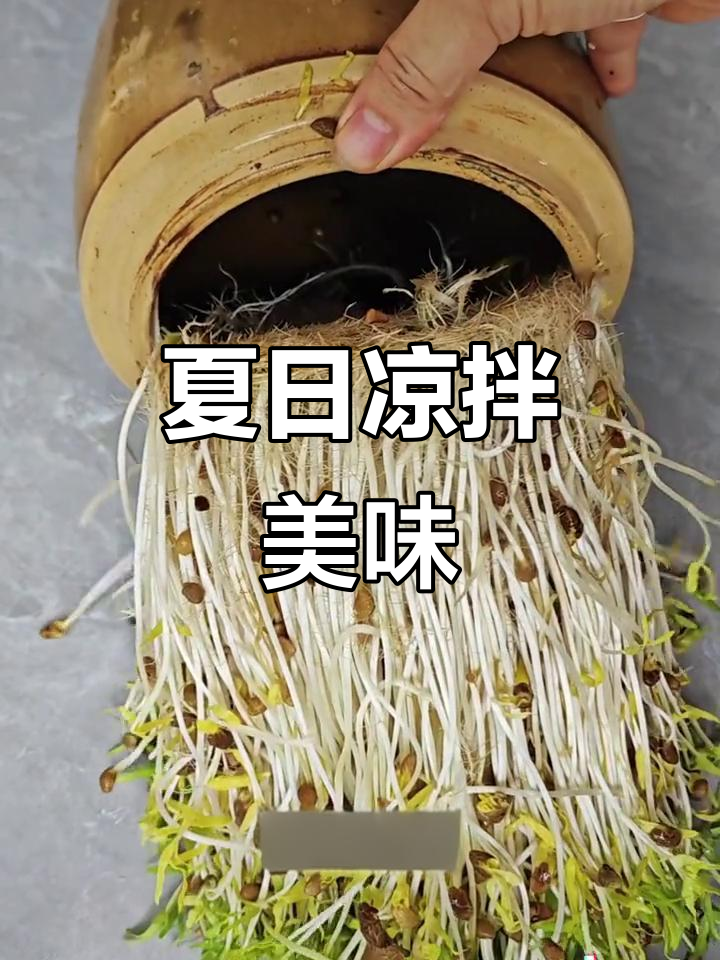 夏天来盘凉拌空心菜,孩子爱吃,妈妈的心意满满