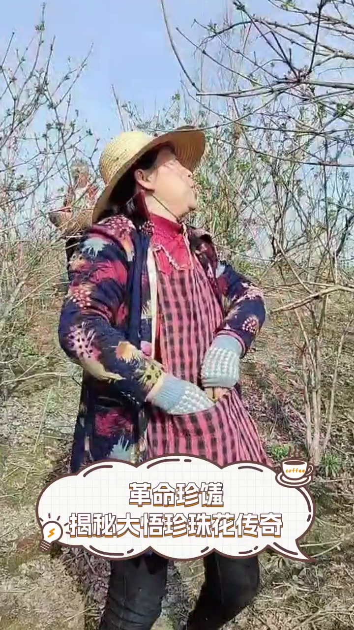 革命珍馐,揭秘大悟珍珠花传奇