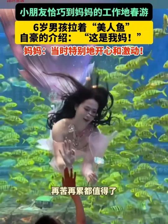小朋友恰巧到妈妈的工作地春游,6岁男孩拉着“美人鱼”自豪的向小伙伴们介绍 “这是我妈!” 