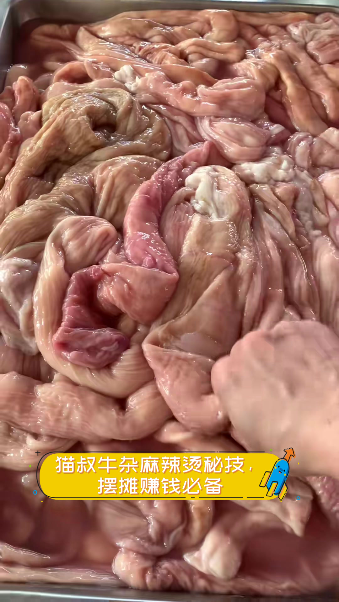 猫叔牛杂麻辣烫秘技,摆摊赚钱必备