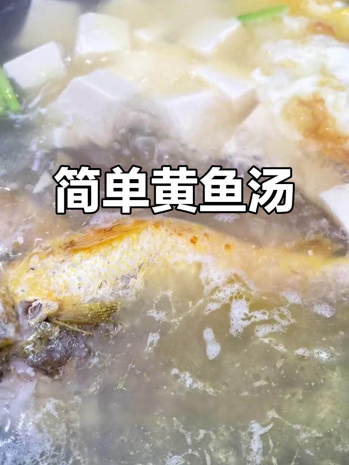 黄鱼汤家常做法,鲜嫩美味一学就会
