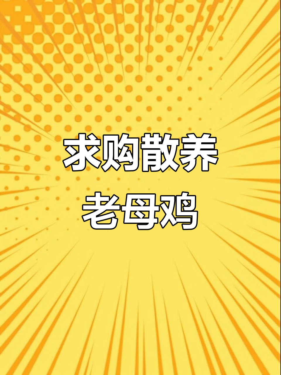 贵州血毛土鸡苗,散养公母皆有货源