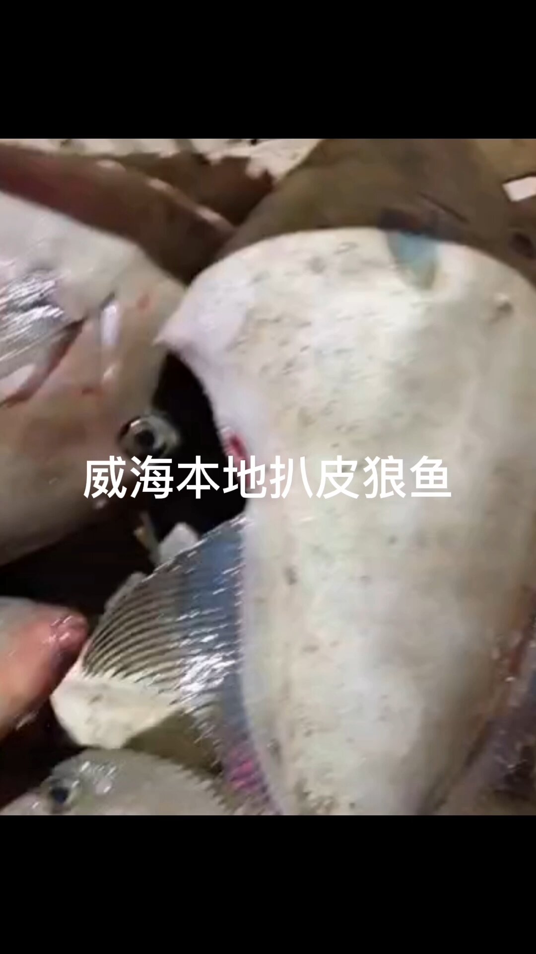 威海本地扒皮狼鱼焖上撒上茼蒿就是一个鲜