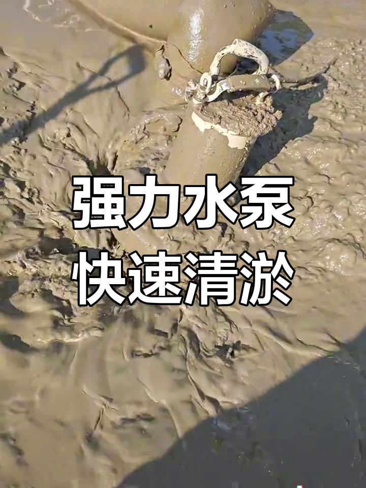 鱼塘清淤利器,强力水泵轻松抽走粘稠泥浆