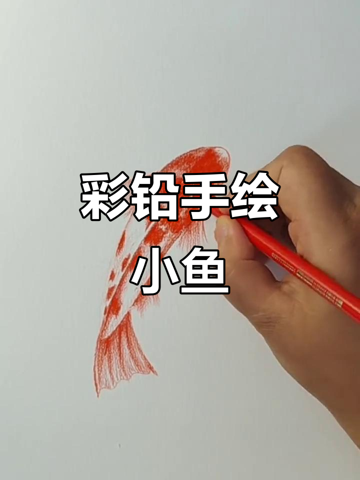 油性彩铅轻松画鱼,零基础也能搞定!