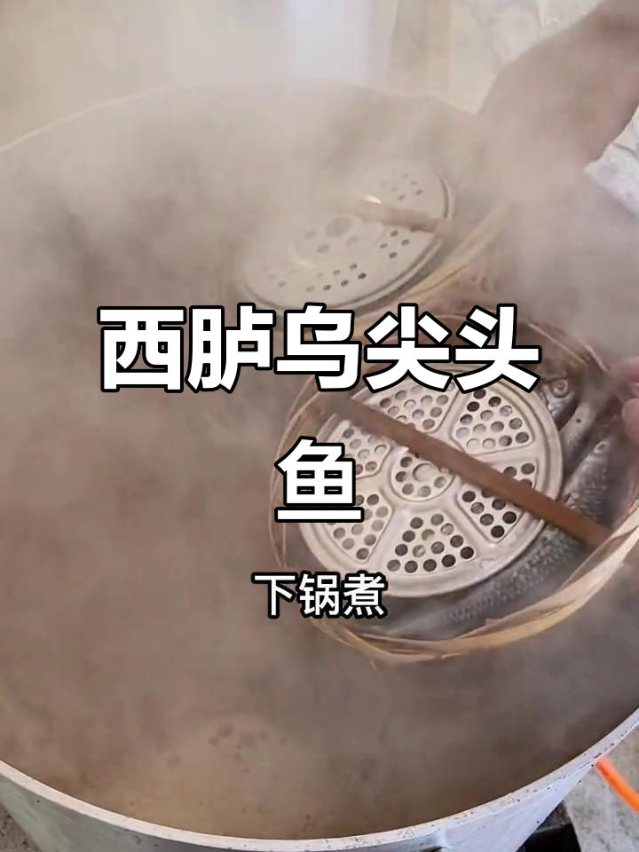 潮汕西胪尖头鱼,饱满鱼春让人怀念家乡味