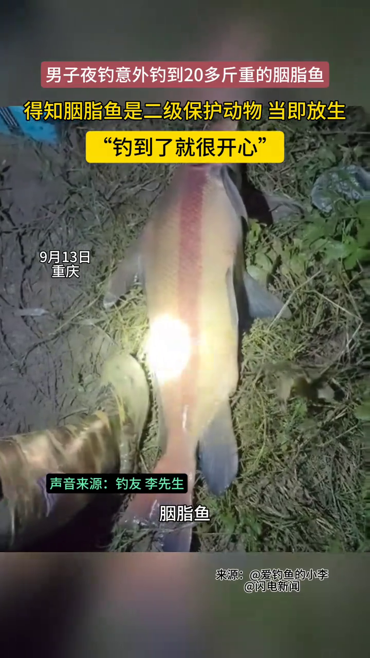 男子夜钓意外钓到20多斤重的胭脂鱼