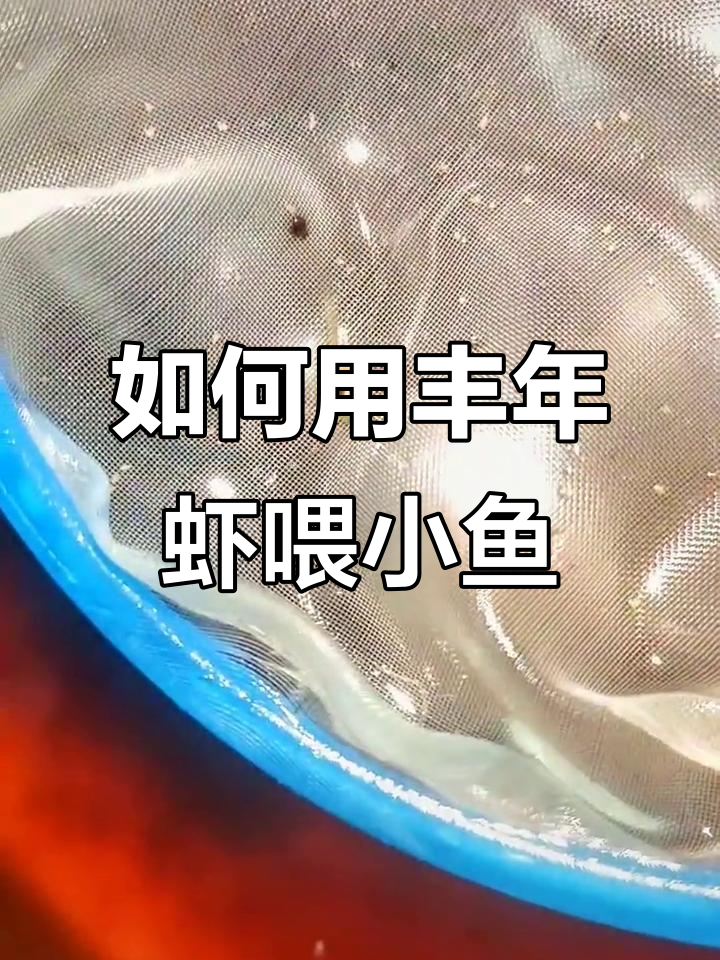鱼苗喂养技巧:丰年虾孵化后如何喂食