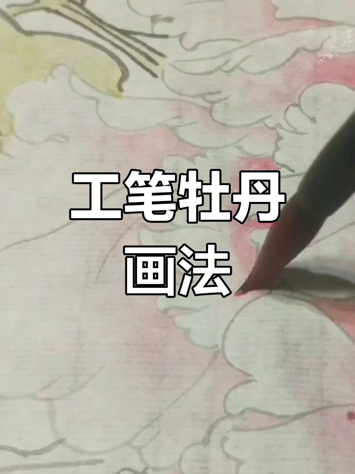 精致工笔画牡丹