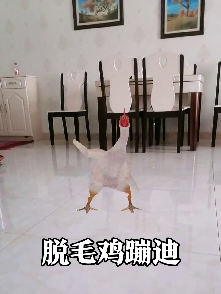 脱毛鸡客厅蹦迪秀妖娆走位,网友:这是要C位出道