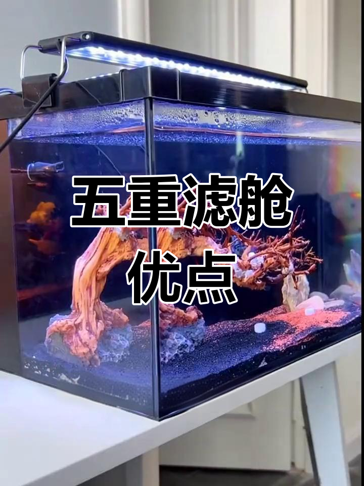 鱼缸过滤系统优缺点分析