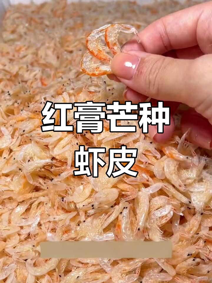 芒种前后20天,红膏虾皮最美味!给孩子加点营养