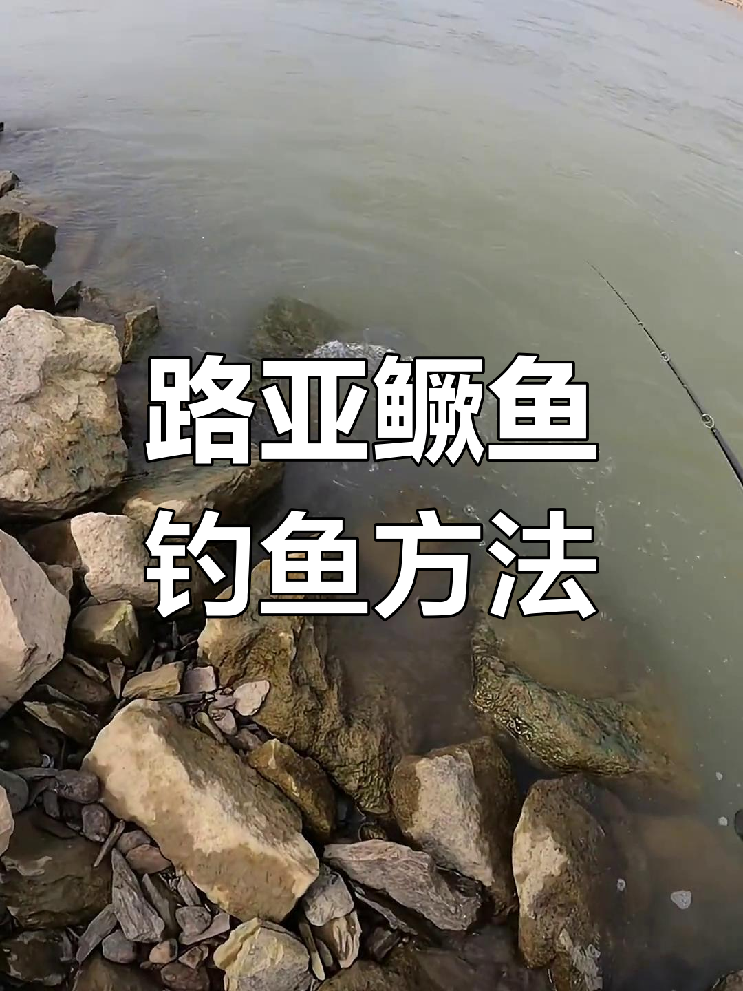 流水环境中桂鱼的钓法技巧