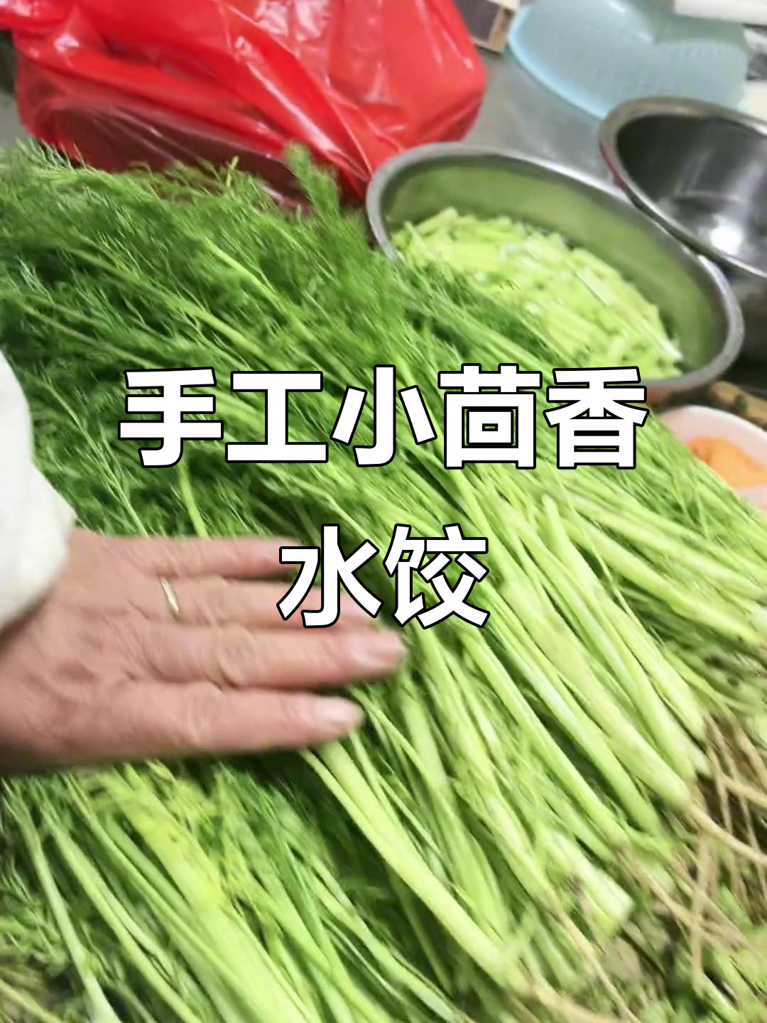 小茴香饺子新鲜出炉,猪肉大葱馅儿超美味