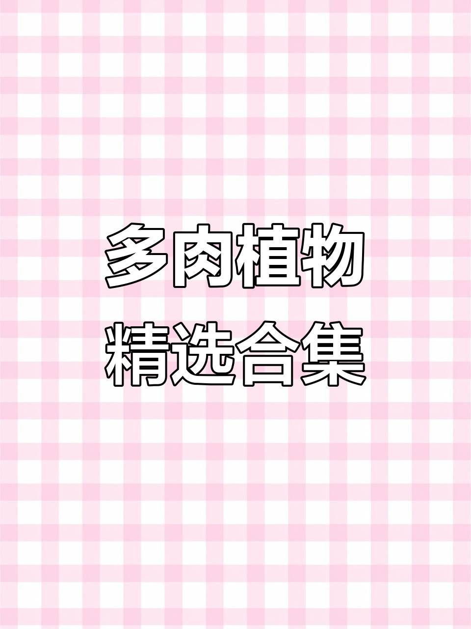 劳尔锦、紫光等多肉植物,带你领略大河之舞的魅力