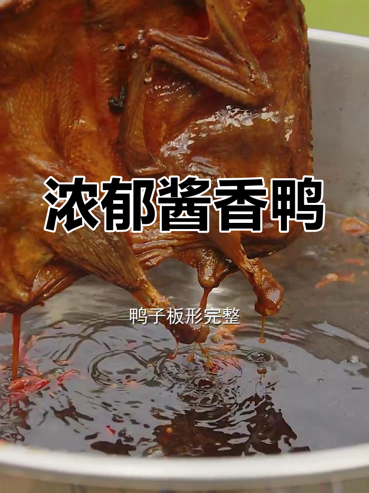 湖南酱板鸭,香气扑鼻,肉质鲜美,回味无穷