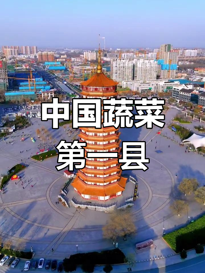 莘县:人口大县,蔬菜产业领先