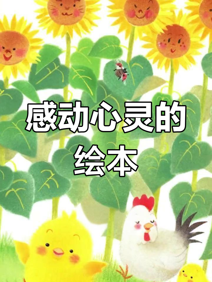 小气球球与向日葵的成长故事,温暖心田