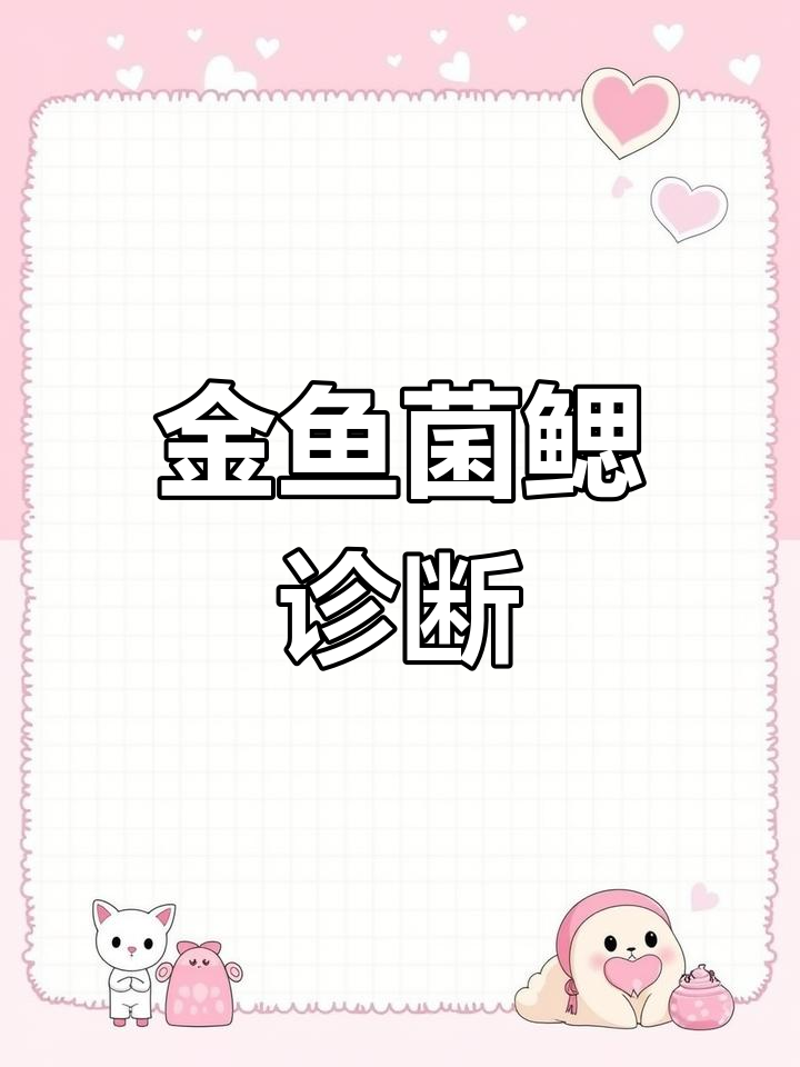 20230606金鱼菌鳃病判断与治疗技巧